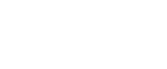 Visi