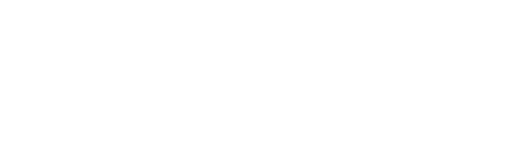 Visi